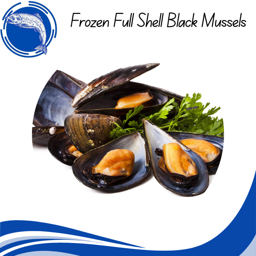 Frozen Full Shell Black Mussels - Mos Fresh Trading Sdn Bhd