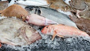 wholesale fish supplier batu caves