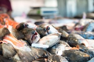 wholesale seafood supplier Selangor